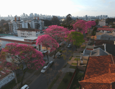 Conheça o Bairro Hugo Lange