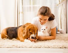 Como Escolher o Melhor Imóvel para Quem Tem Animais de Estimação