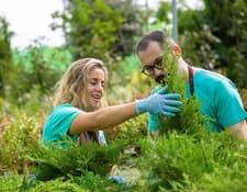Cuidados com o Jardim: Dicas Para Manter um Espaço Deslumbrante
