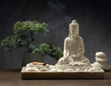 Jardim Zen: O Ambiente Perfeito para Relaxar em Casa