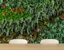 Transforme seu jardim vertical naquele recanto especial para receber os amigos