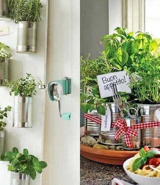 Mini horta na cozinha: dicas para ter a sua em casa