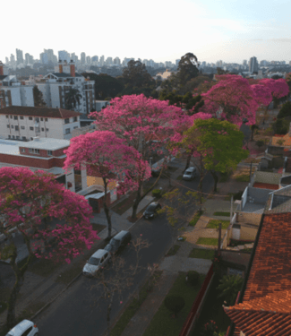 Conheça o Bairro Hugo Lange