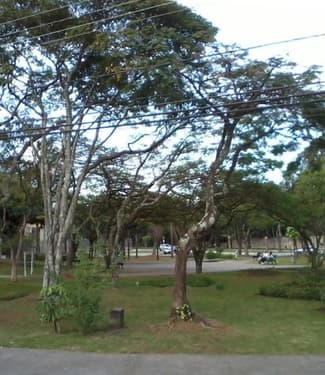 Como é Morar no Bairro Bosque dos Eucaliptos? São José dos Campos/ SP