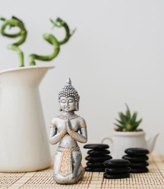 Como as decorações usando Feng Shui podem manter sua casa sem energia negativa