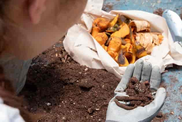O Que é Compostagem e Como Fazê-la?