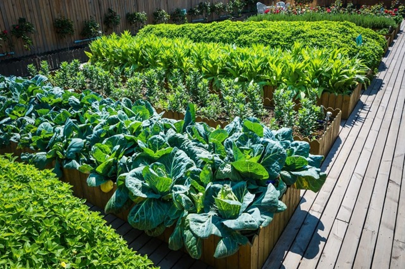 Cultive uma horta no espaço gourmet!