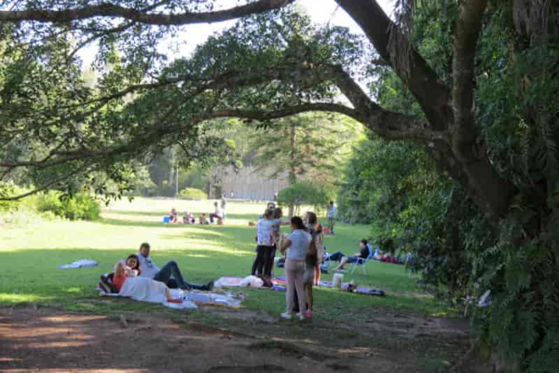 Conheça o bairro Jardim Botânico em Porto Alegre
