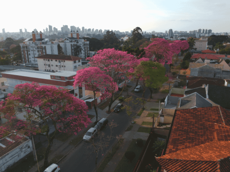 Conheça o Bairro Hugo Lange