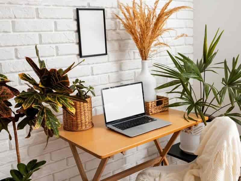 13 dicas de plantas para deixar seu home office muito mais inspirador e agradável