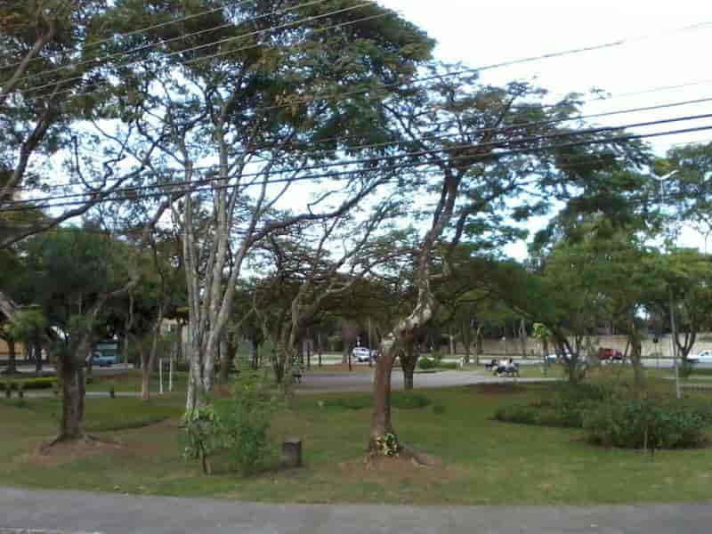 Como é Morar no Bairro Bosque dos Eucaliptos? São José dos Campos/ SP