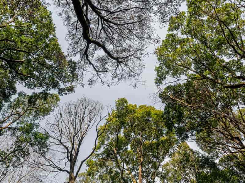 Setor imobiliário lidera a reabilitação de áreas contaminadas em São Paulo