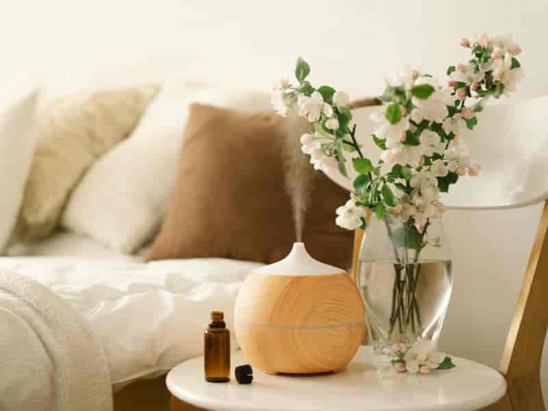 Aromaterapia e Sprays Naturais: Óleos e Essências para Limpar o Ambiente em sua Casa