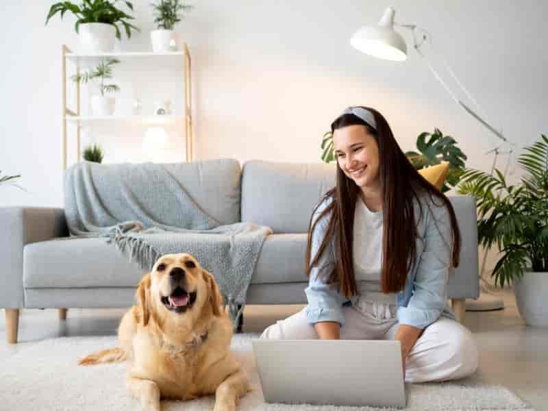 Pets também sentem? Como proteger animais de estimação contra energias negativas