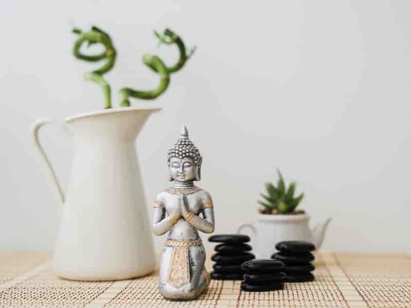 Como as decorações usando Feng Shui podem manter sua casa sem energia negativa