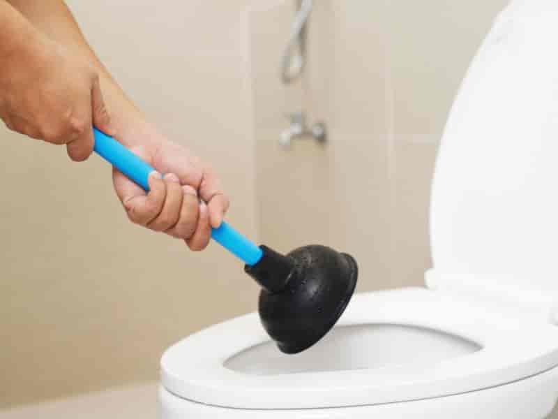 Como desentupir o vaso: métodos simples e eficazes para o dia a dia