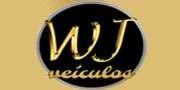 WJ COMERCIO DE VEICULOS