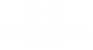 LEO MOTORS VEICULOS