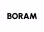 Logo BORAM