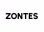 Logo ZONTES