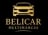 BELICAR MULTIMARCAS