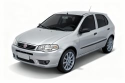 Fiat Palio 2010  Elx 1.4 fire/30 anos f. flex 8v 4p
