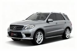 Imagem do modelo buscado