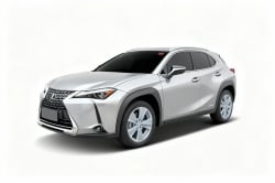 Imagem do modelo buscado