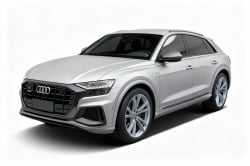 Audi Q8 2020  Perf.black 3.0 tfsi quat. s-tr/(híb.)
