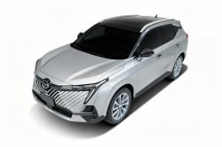 Imagem do modelo buscado