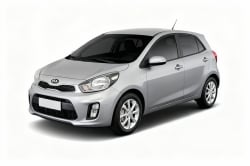 Kia Picanto 2014  Ex 1.1/1.0/ 1.0 flex aut.