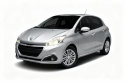 Imagem do modelo buscado