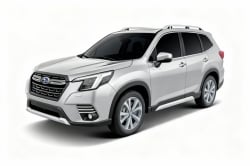 Imagem do modelo buscado