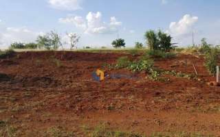 Terreno à venda, 502 m² por R$ 110.000,00 - Distrito de Mandijuba - Engenheiro Beltrão/PR