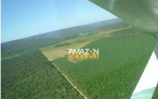 òtima fazenda em Benedito Leite-MA