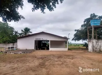 Chácara com 3 dormitórios à venda, 91476 m² por R$ 980.000 - Asa Branca - Feira de Santana/BA
