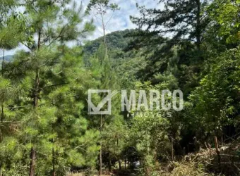 Terreno à venda no Ribeirão Souto, Pomerode 