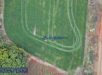 Chácara à venda, 18770 m² por R$ 900.000,00 - Nova America da Colina - Nova America da Colina/PR
