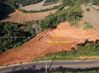 Área para Venda em Campo Magro, Quarteirão São João