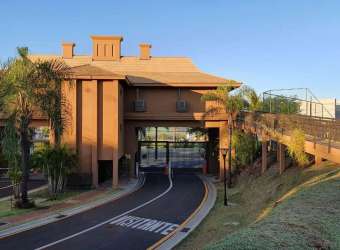 Terreno à venda, 220 m² por R$ 1.000.000,00 - Esperança - Londrina/PR