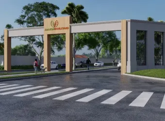 Amazon bolevard Clássic