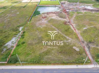 Terreno para alugar, 30816 m² por R$ 93.000,00/mês - Ipê - São José dos Pinhais/PR