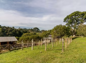 Chácara / sítio com 2 quartos à venda na Hermes Candido de Sa, 115, Colônia Marcelino, São José dos Pinhais
