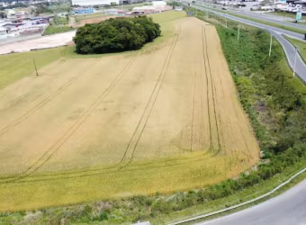 Área Industrial em Loteamento São José, Campo Largo/PR