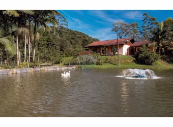 SÍTIO NA VILA ITOUPAVA - BLUMENAU - aceita permuta e parcelamento em até 100x direto com o proprietário.
