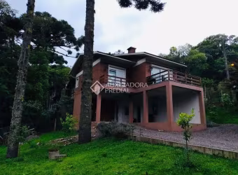 Casa com 1 quarto à venda na São Bernardo, 1, Centro, São Francisco de Paula