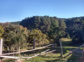 Lindo sítio em Tijucas do Sul BAIXOUUUU