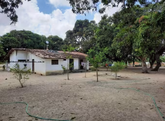 Granja para Venda em Macaíba, Centro, 2 dormitórios, 3 banheiros, 9 vagas