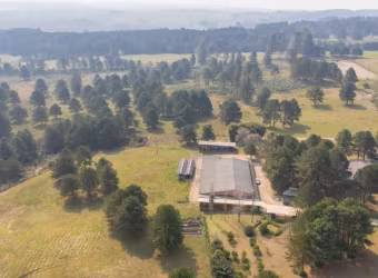 Terreno/Área - São Luiz do Purunã