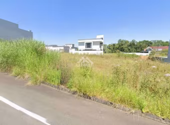 Terreno | Três Rios do Norte | 320m²